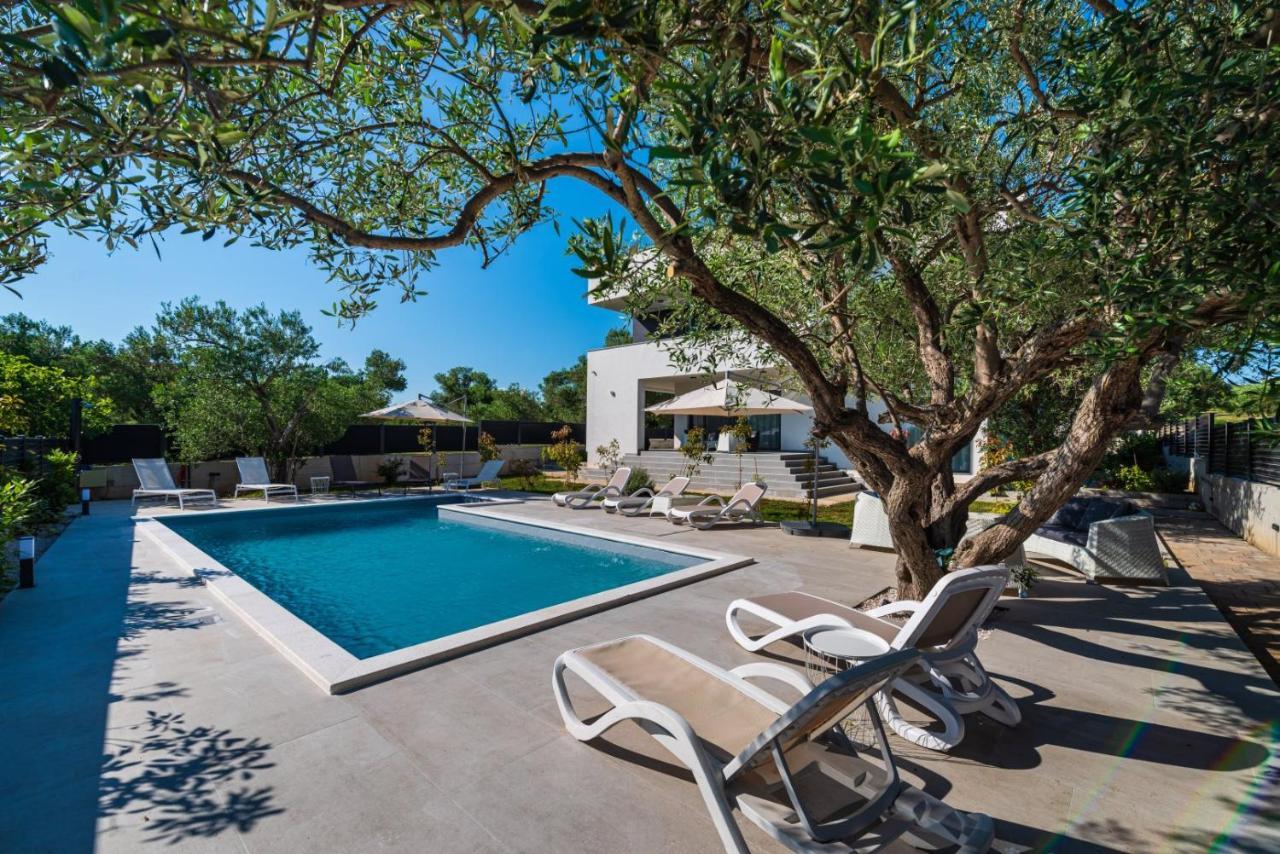 Crowonder Sun Dance With Heated Swimming Pool Seaview And Garden Apartment *